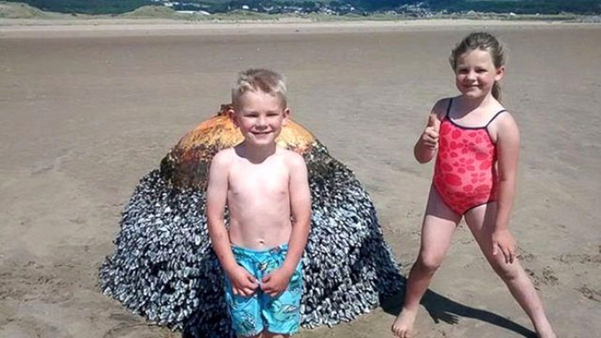 Şamandıra Sandıkları Cisim Bomba Çıktı!