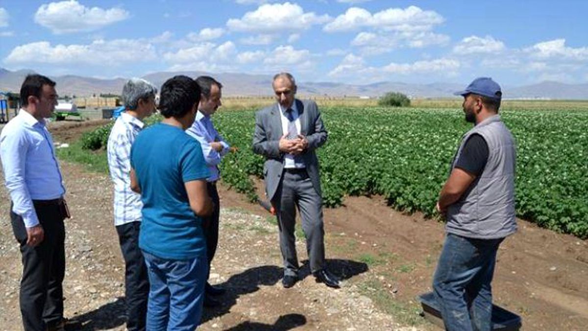 Sertifikalı Tohumla Kartol Bir Başka Olacak
