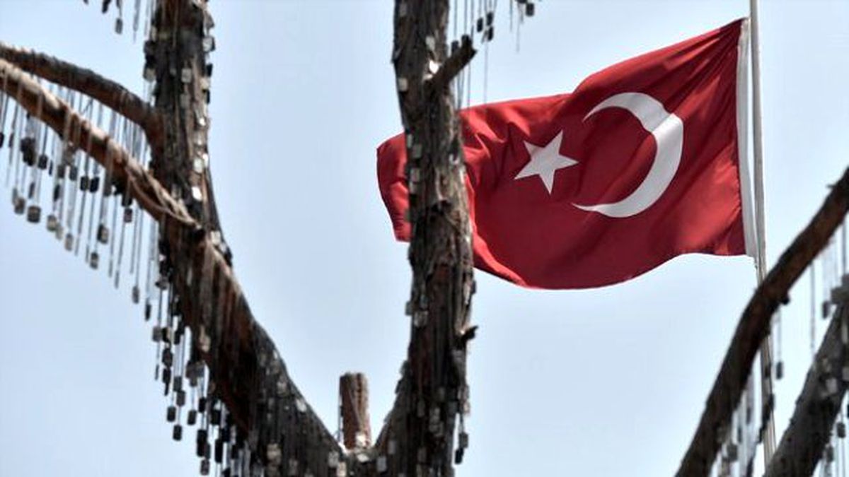 Ağlatan Görüntü! Şehitler Ağacında Künye Çakılacak Yer Kalmadı