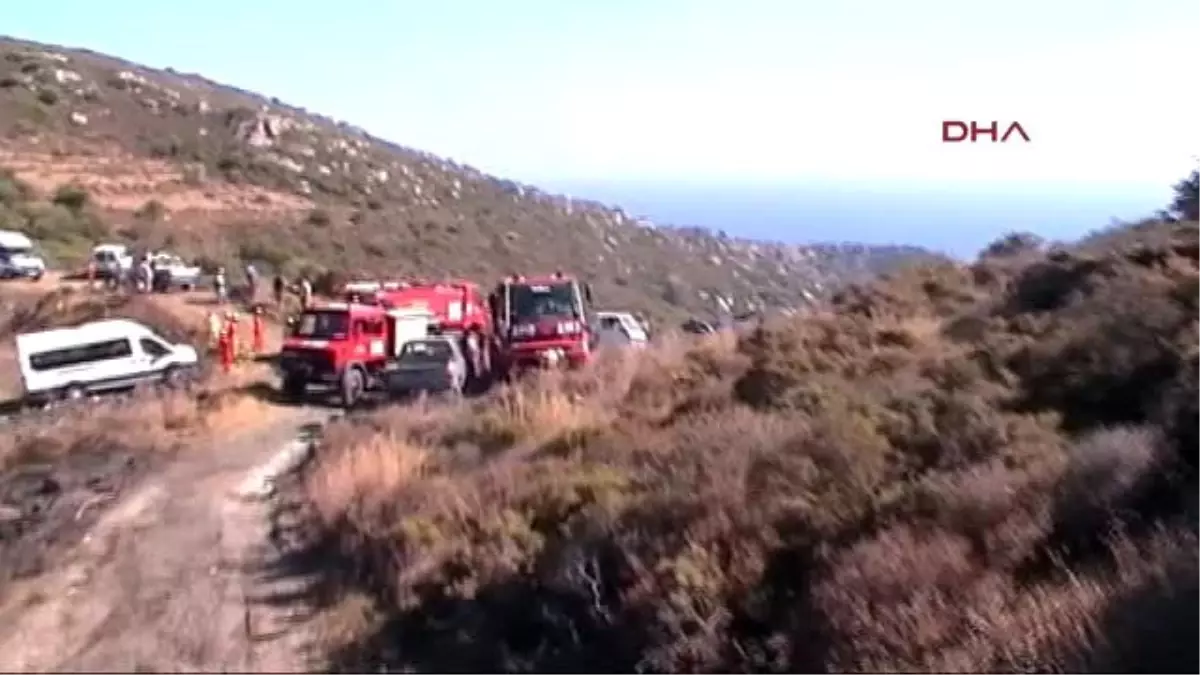 Datça\'da 4 Hektar Zeytinlik ve Makilik Alan Kül Oldu