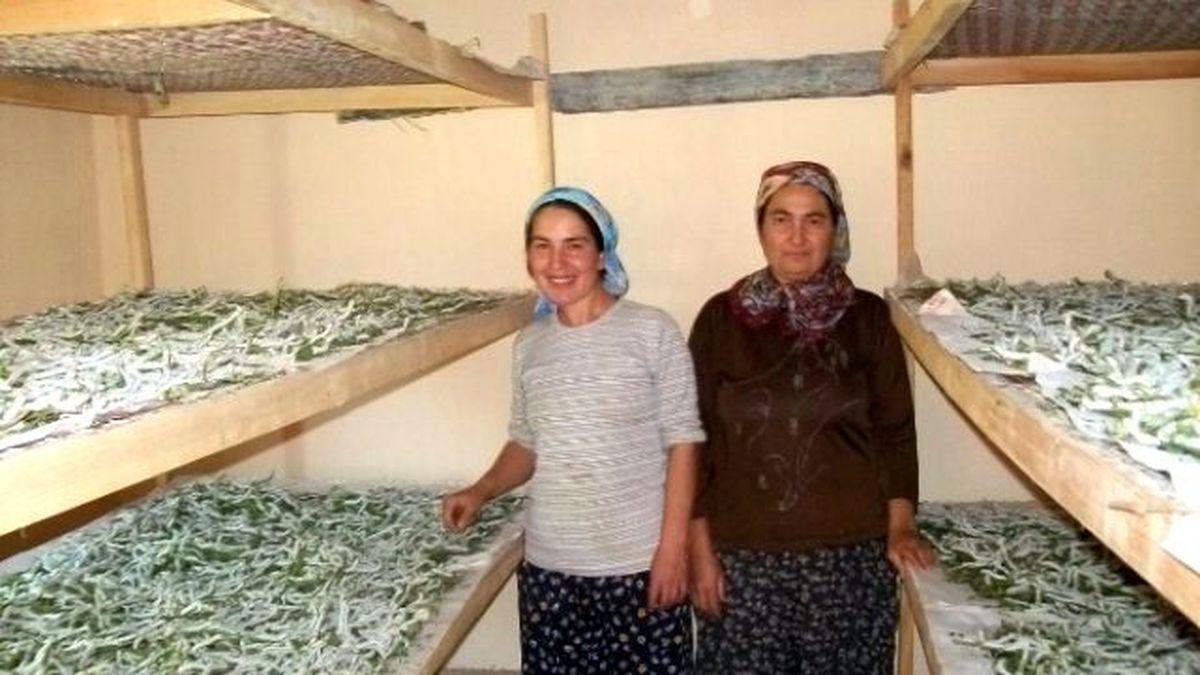 Evlerinde Böcek Yetiştirerek 5 Bin Lira Kazandılar