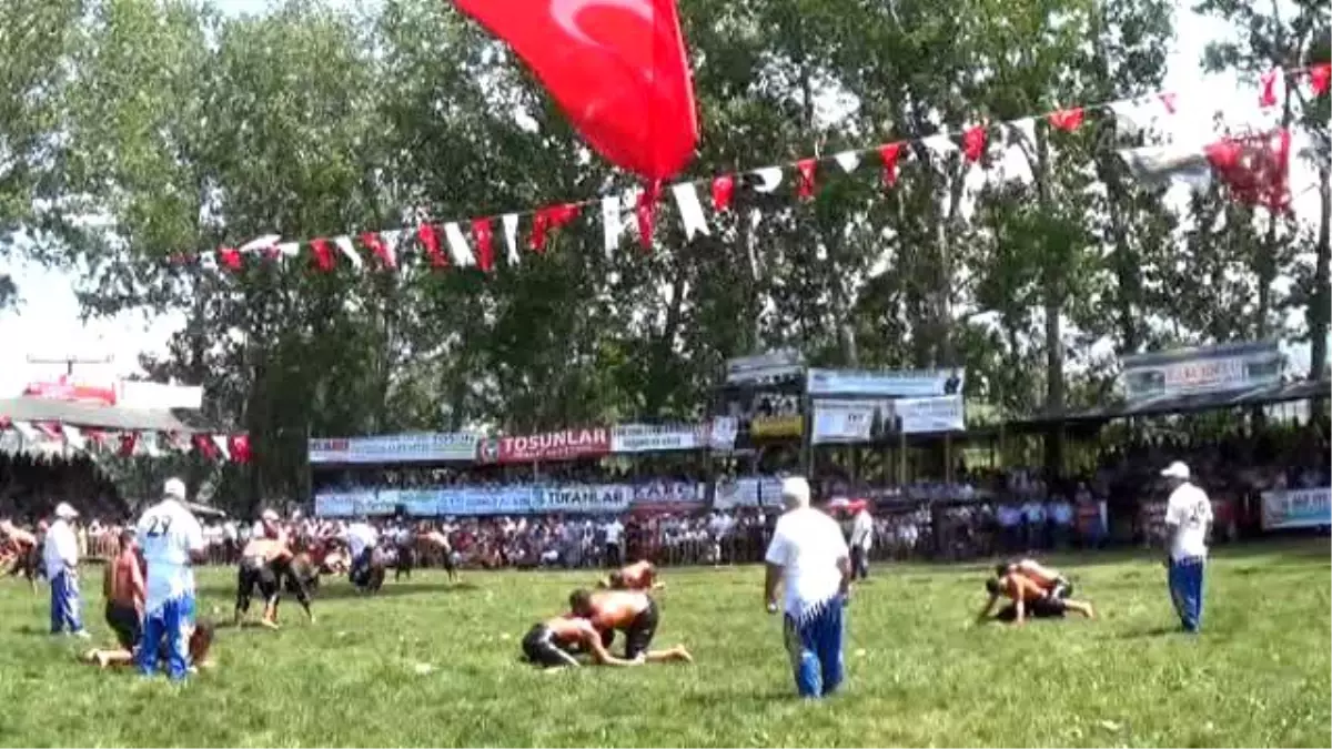 24. Geleneksel Yayla Seki Yağlı Güreşleri