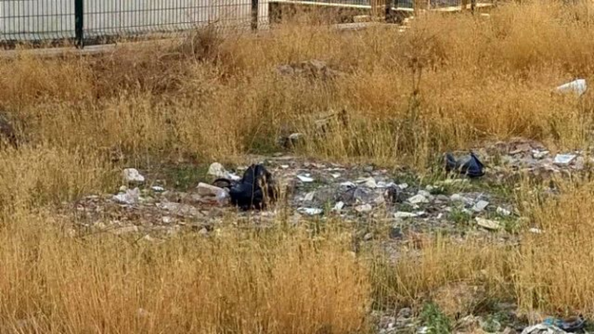 Araziye Bırakılan Kadın Çantaları Fünye ile Patlatıldı