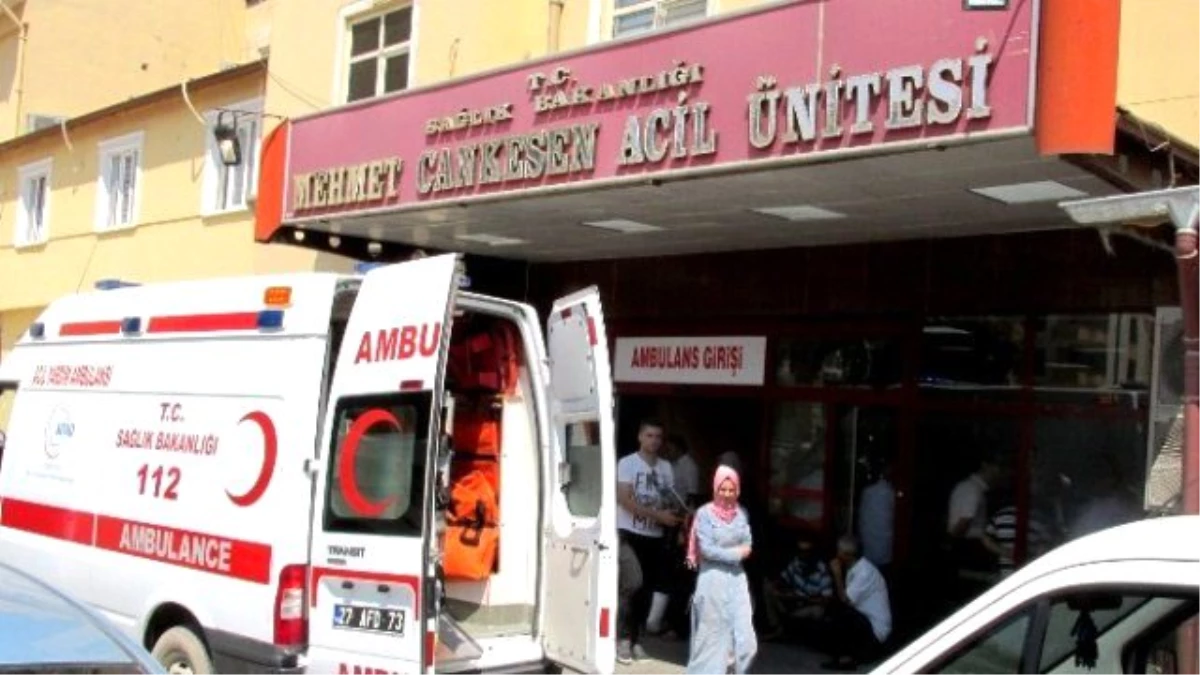 Gaziantep\'te Fıstık Hırsızları Bir Kişiyi Vurarak Öldürdü