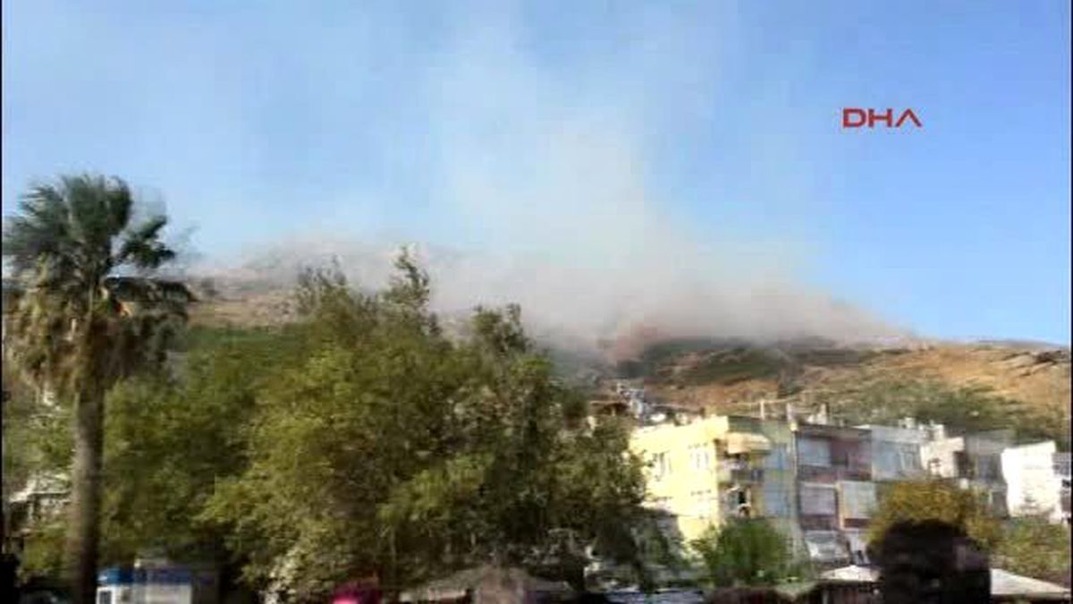 Marmara Adası\'nda Orman Yangını