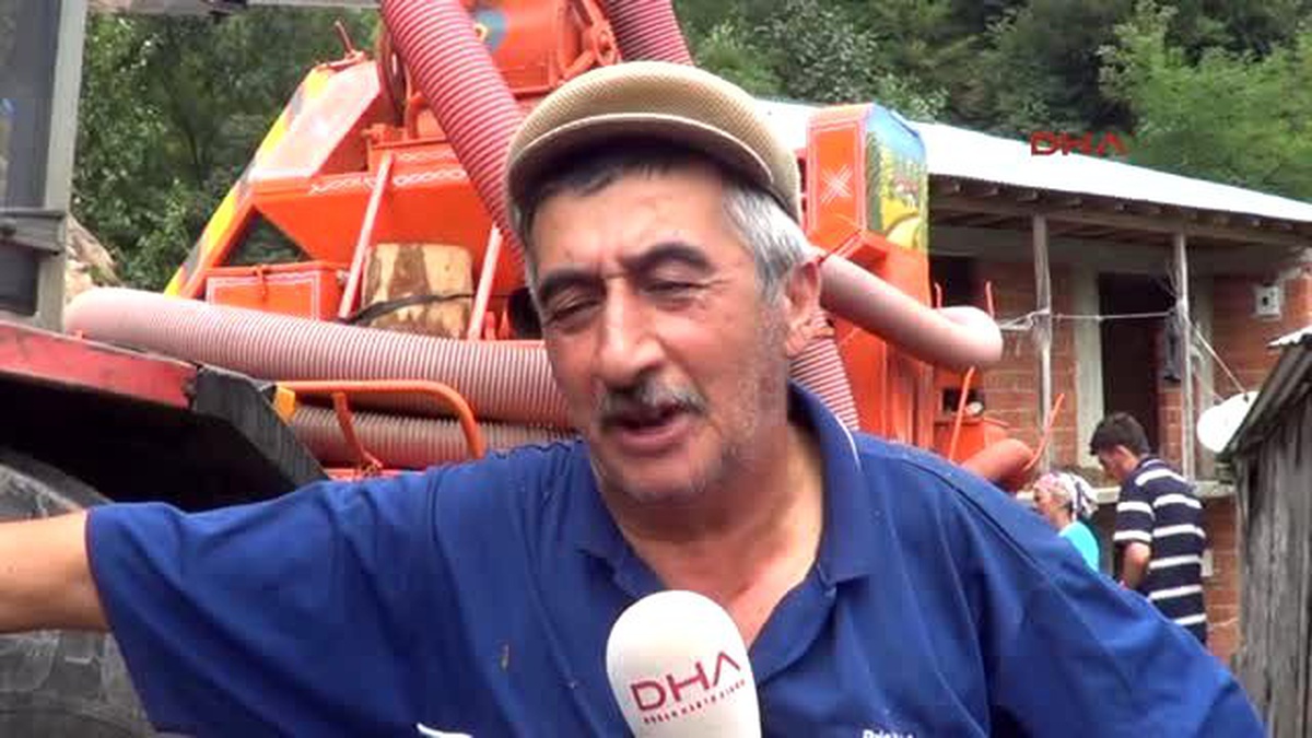 Ordu Fındık Rekoltesi Patozcuların Yüzünü Güldürdü