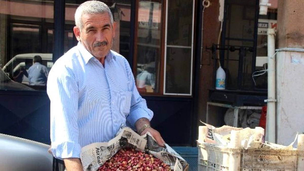Fıstık Üreticisi Zor Durumda