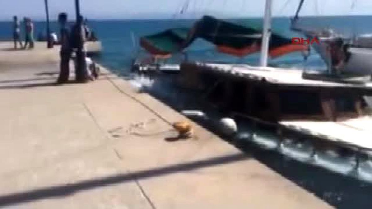 Bodrum Kaçaklar, Dönmemek İçin Tekneyi Batırdı