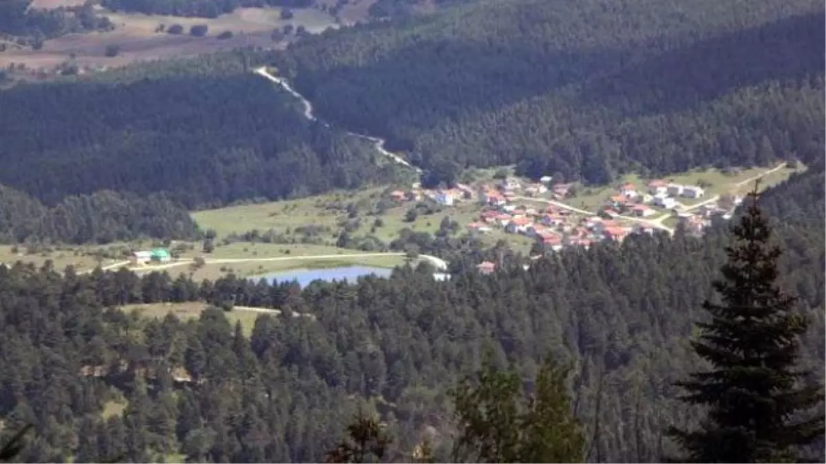 Bolu\'da Doğa Harikası 51 Bin Hektarlık Yeşil Alan İmara Açıldı