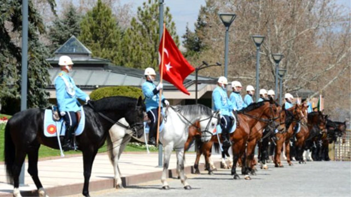 Devlet Başkanlarını Karşılayan Süvari Atları Bursa\'da Yetiştiriliyor