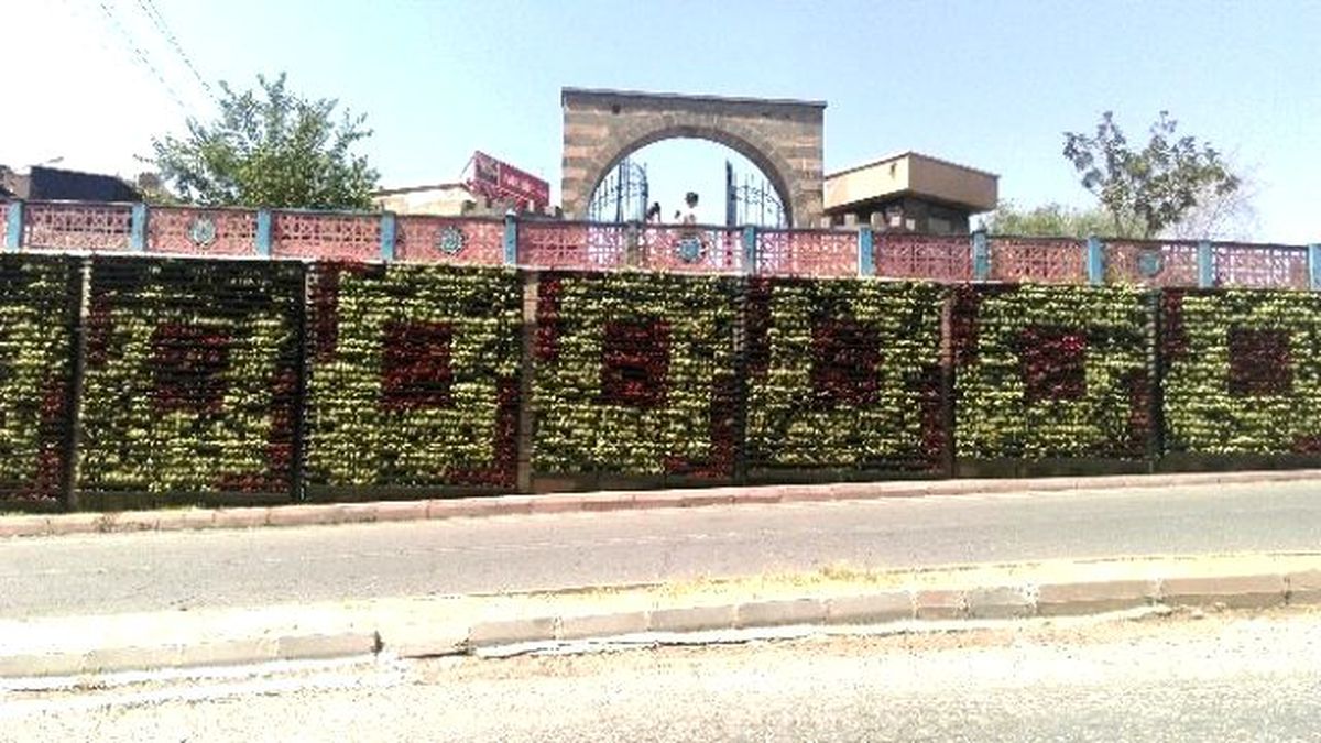 Dikey Bahçe Vatandaşların İlgi Odağı Oldu