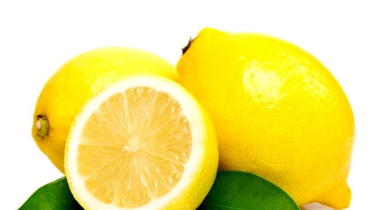Erken Hasat Turunçgil İhracatına Darbe Olabilir