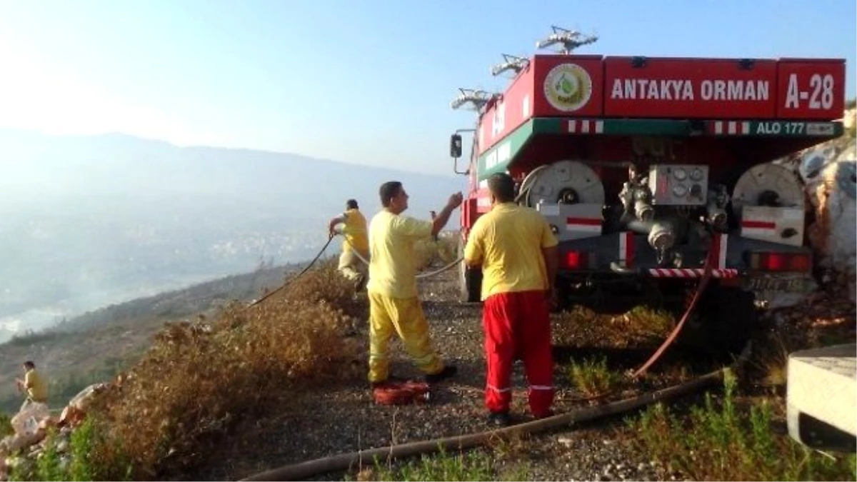 Hatay\'da Orman Yangını