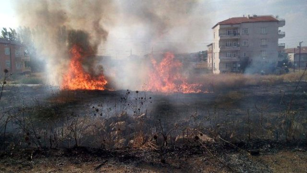 Otluk Alanda Çıkan Yangın Büyümeden Söndürüldü