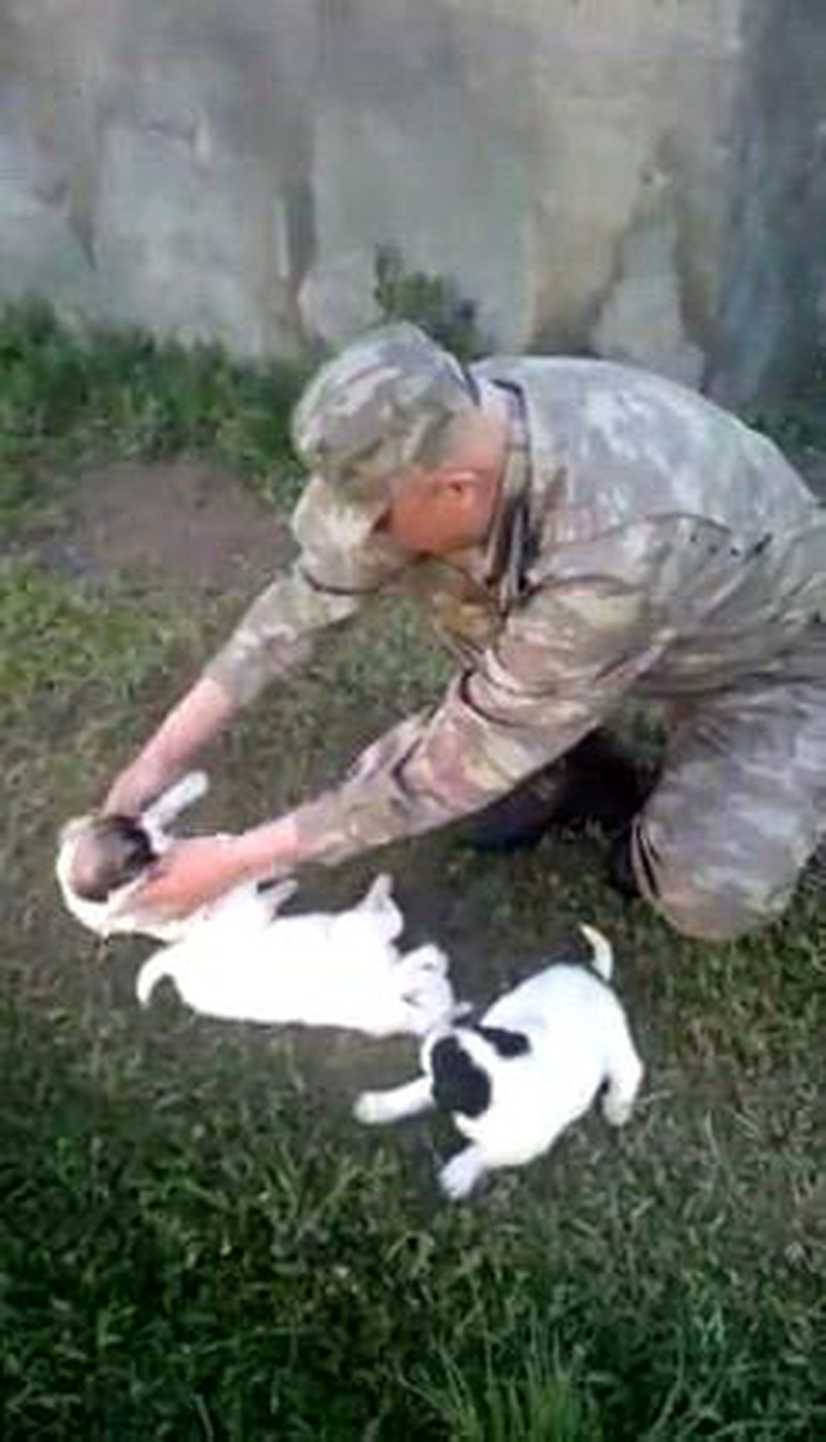 Şehit Binbaşının Hayvanları Severken Çekilen Görüntüleri Ortaya Çıktı