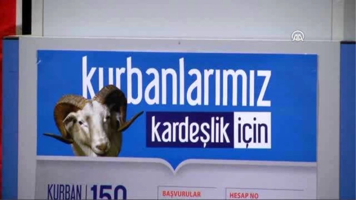 Türkiye Diyanet Vakfı Genel Müdürü Palakoğlu
