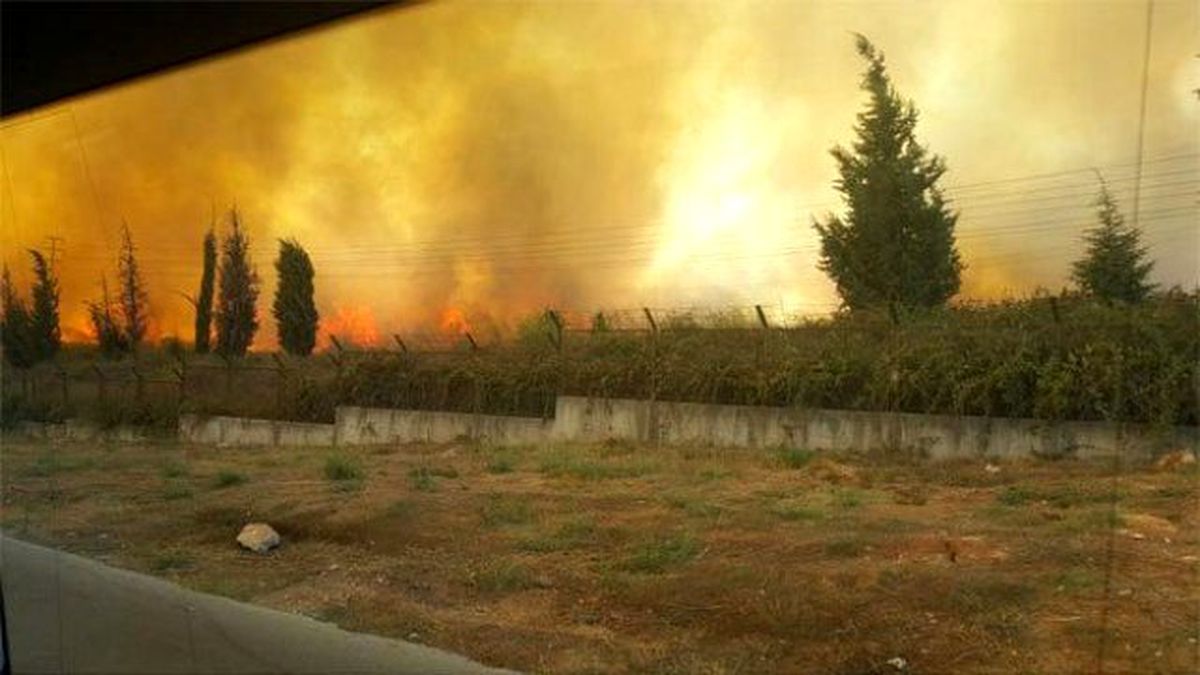 Tuzla'da Askeri Alanın İçindeki Ormanlıkta Yangın Çıktı