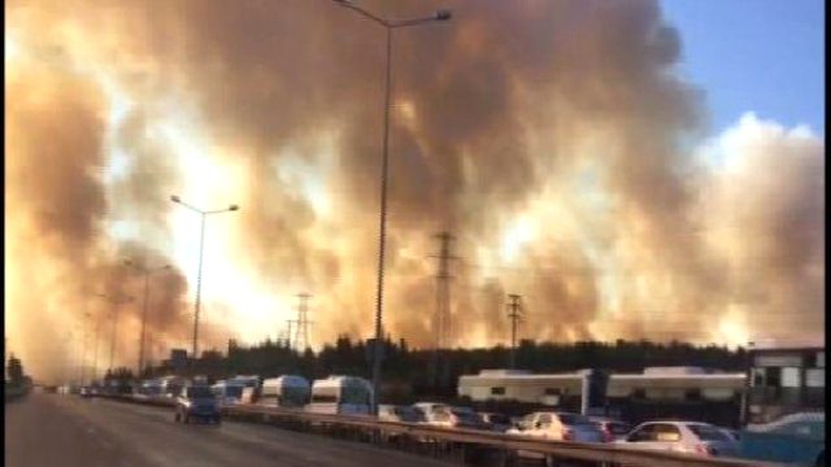 Tuzla\'da Askeri Bölgedeki Ormanlık Alan Alev Alev
