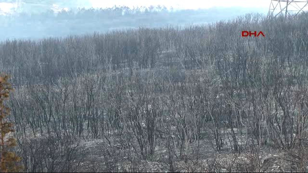 Tuzla\'daki Askeri Bölgede Çıkan Yangın Kontrol Altına Alındı