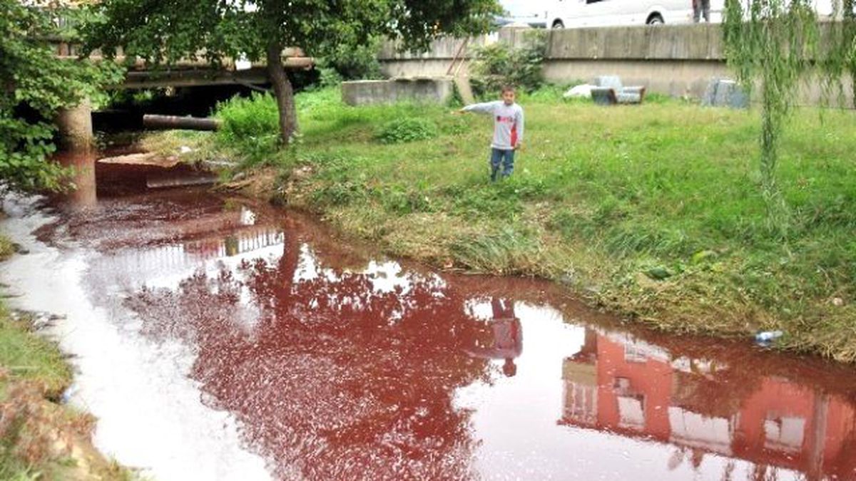 Yalova\'da Kurban Tedbirleri