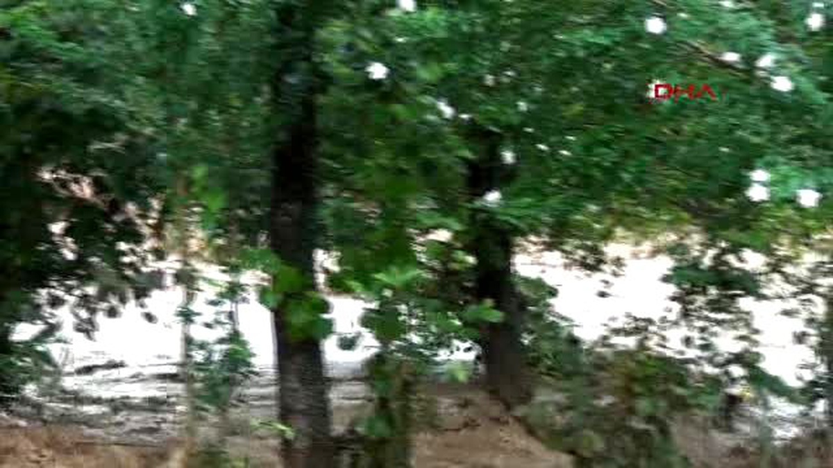 Artvin Taha\'nın Evinde Gözyaşı Dinmiyor, Kayıpların Aranması Sürdürülüyor Akut Arama Kurtama...