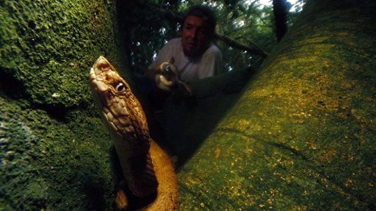 Dünyanın En Tehlikeli Adasına Giriş Yasaklandı