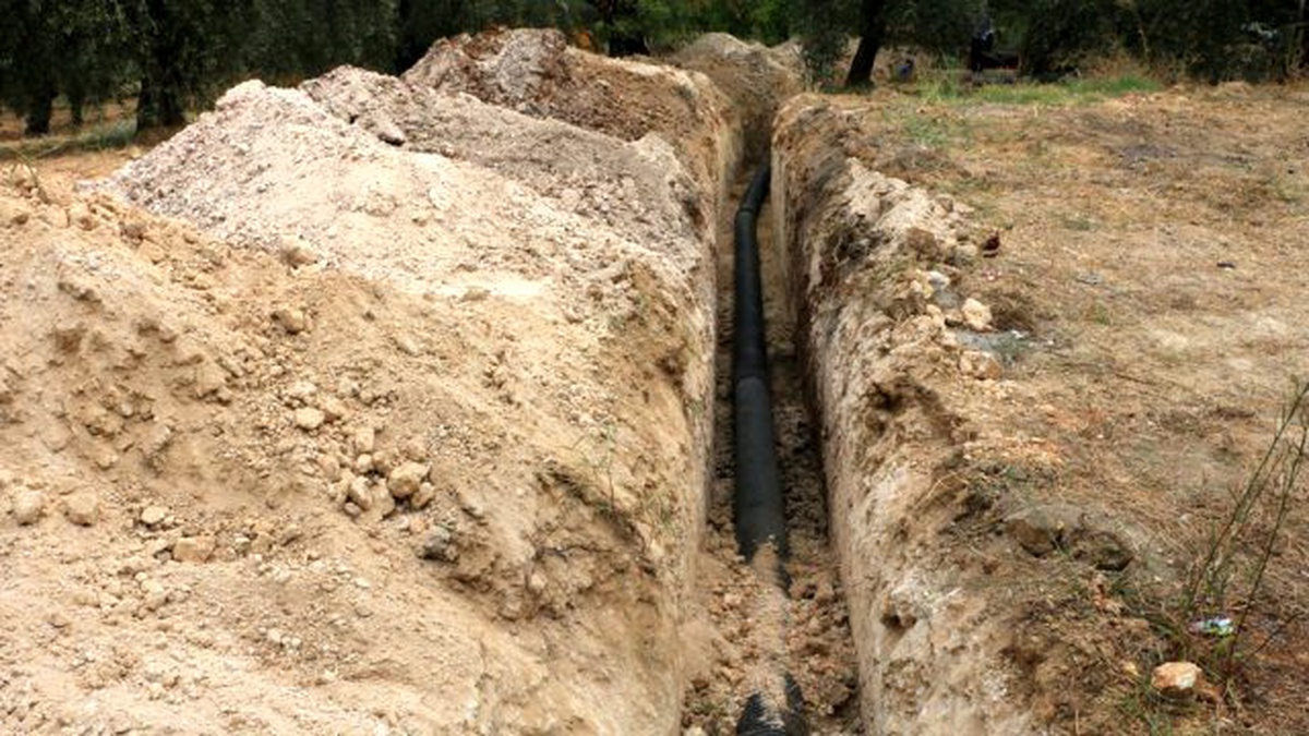 Hatsu, Çevre Kirliliğinin Önüne Geçmeye Devam Ediyor