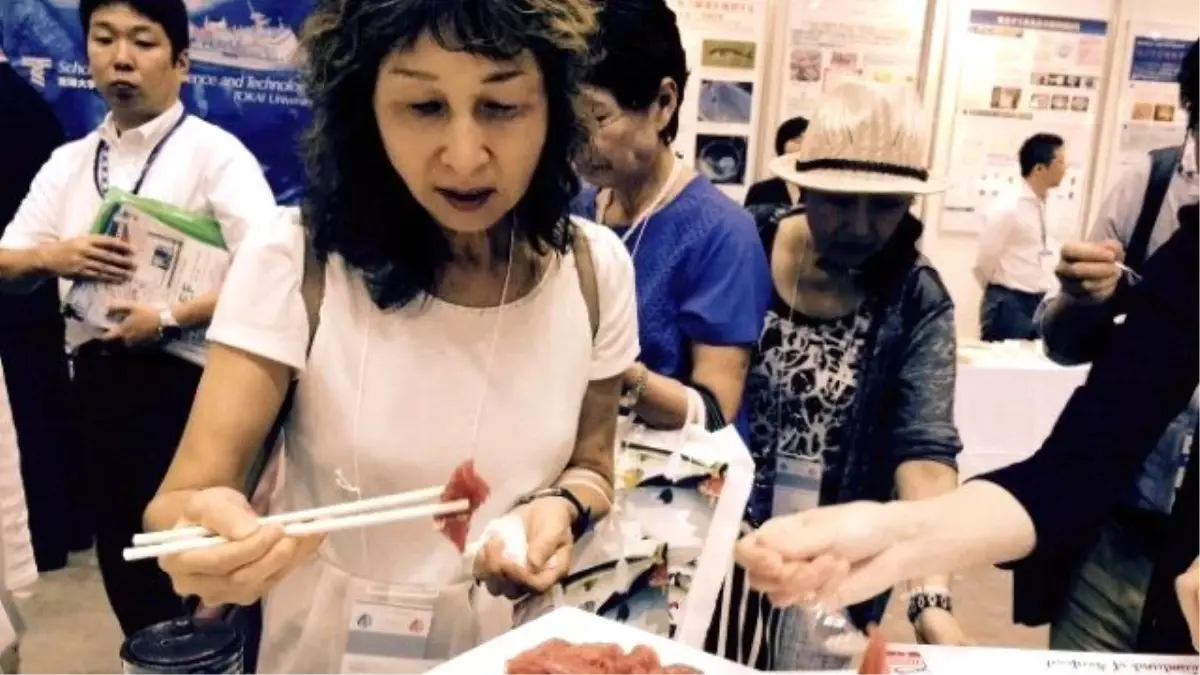 Japonlara Orkinos, Levrek ve Çipura Ziyareti