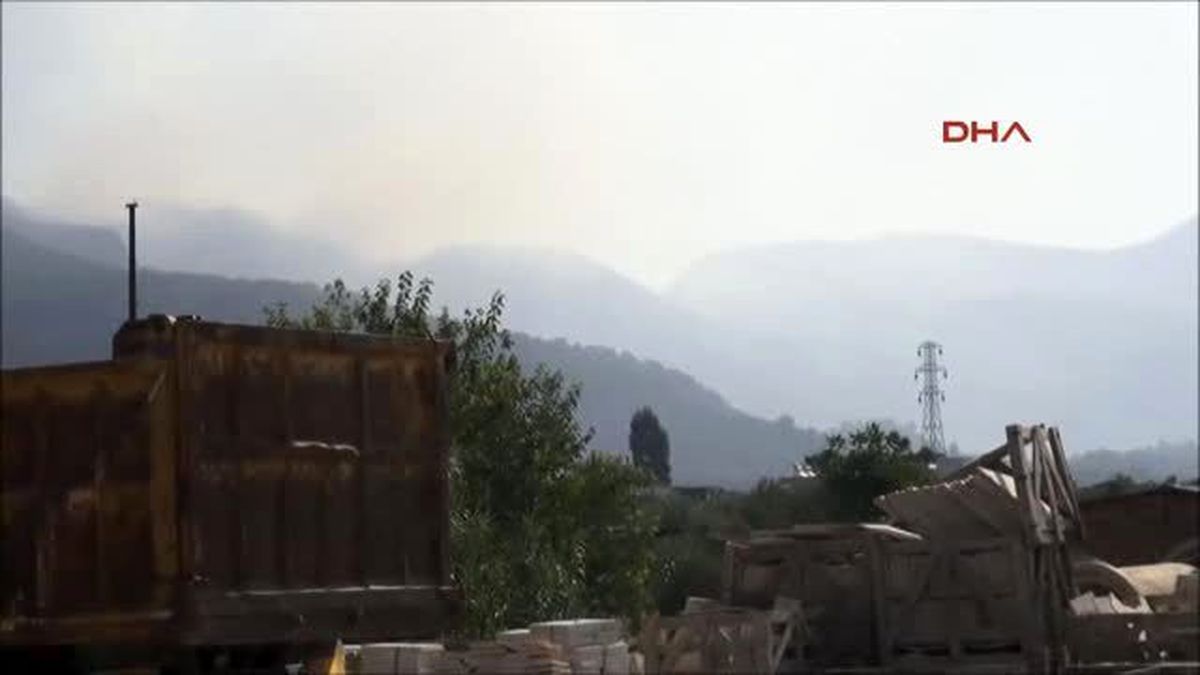 Milas\'ta Orman Yangını
