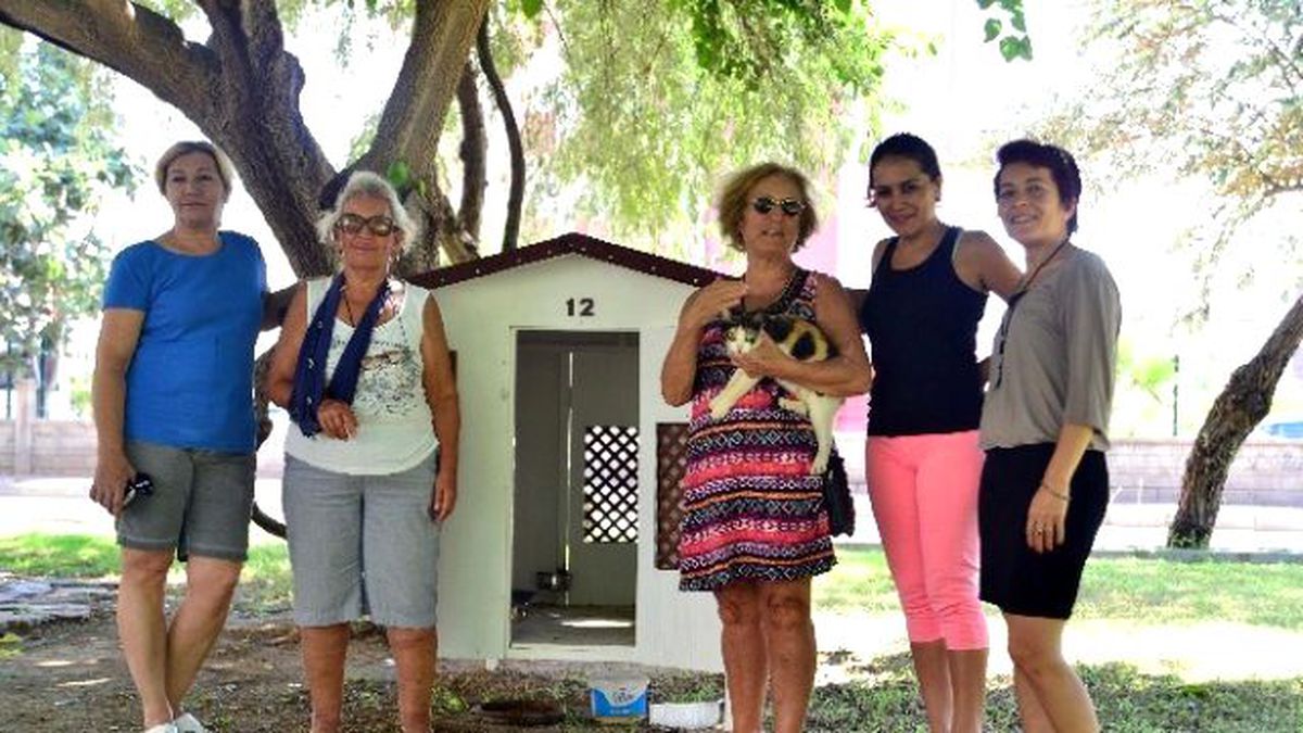 Muratpaşa\'dan Parklara Kedi Evleri