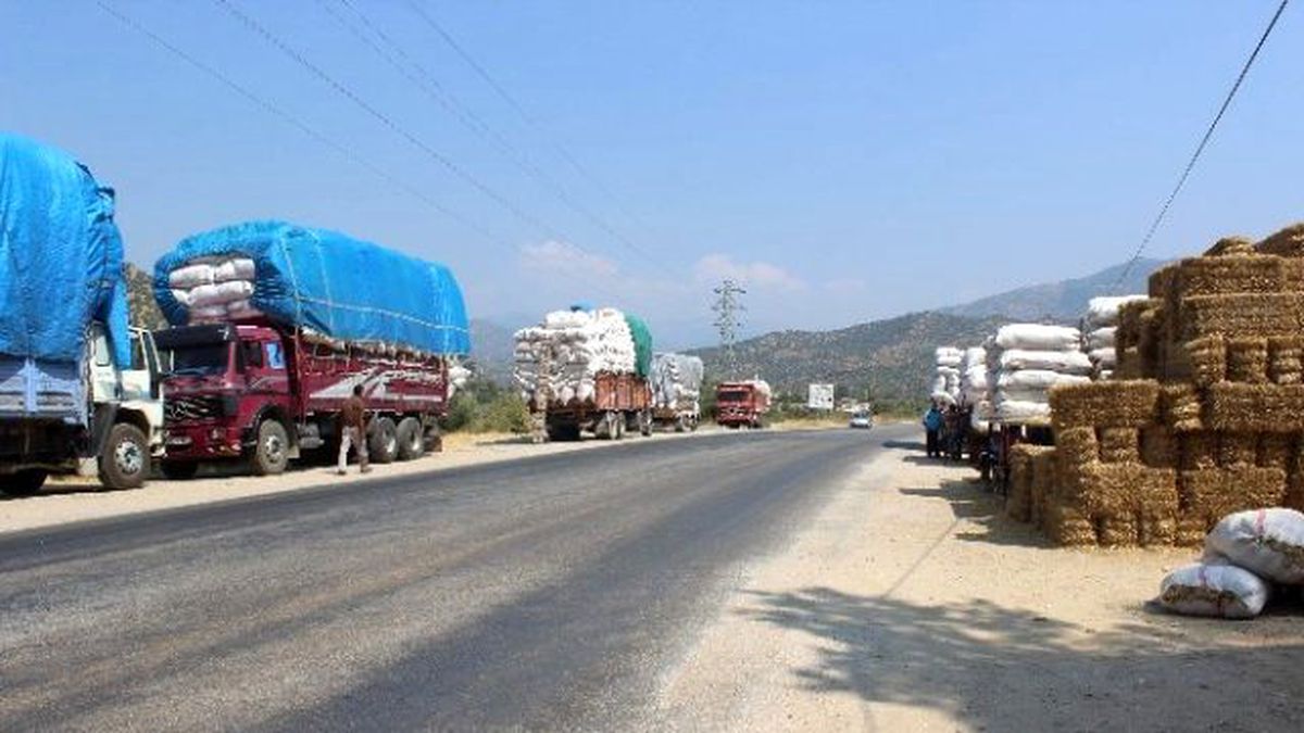 Samancıların Izdırabı Yazılacak Gibi Değil