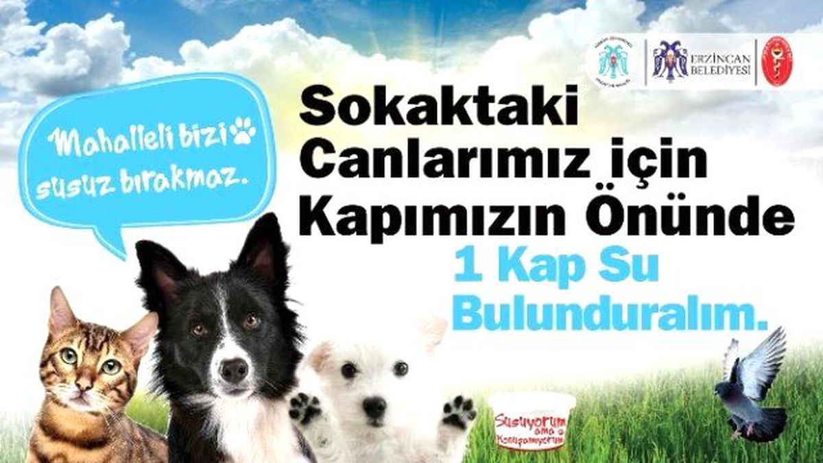 Sokaktaki Hayvanlar İçin Bir Kap Su!