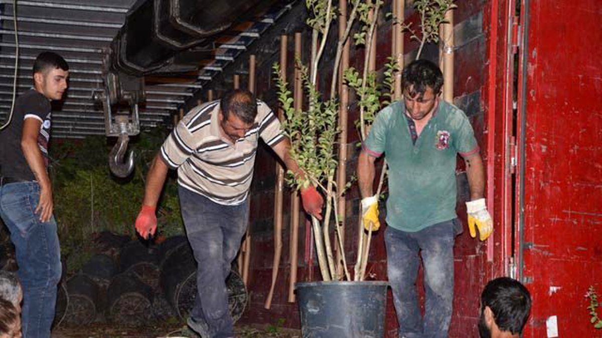 Üçgen Park Yeşile Bürünüyor