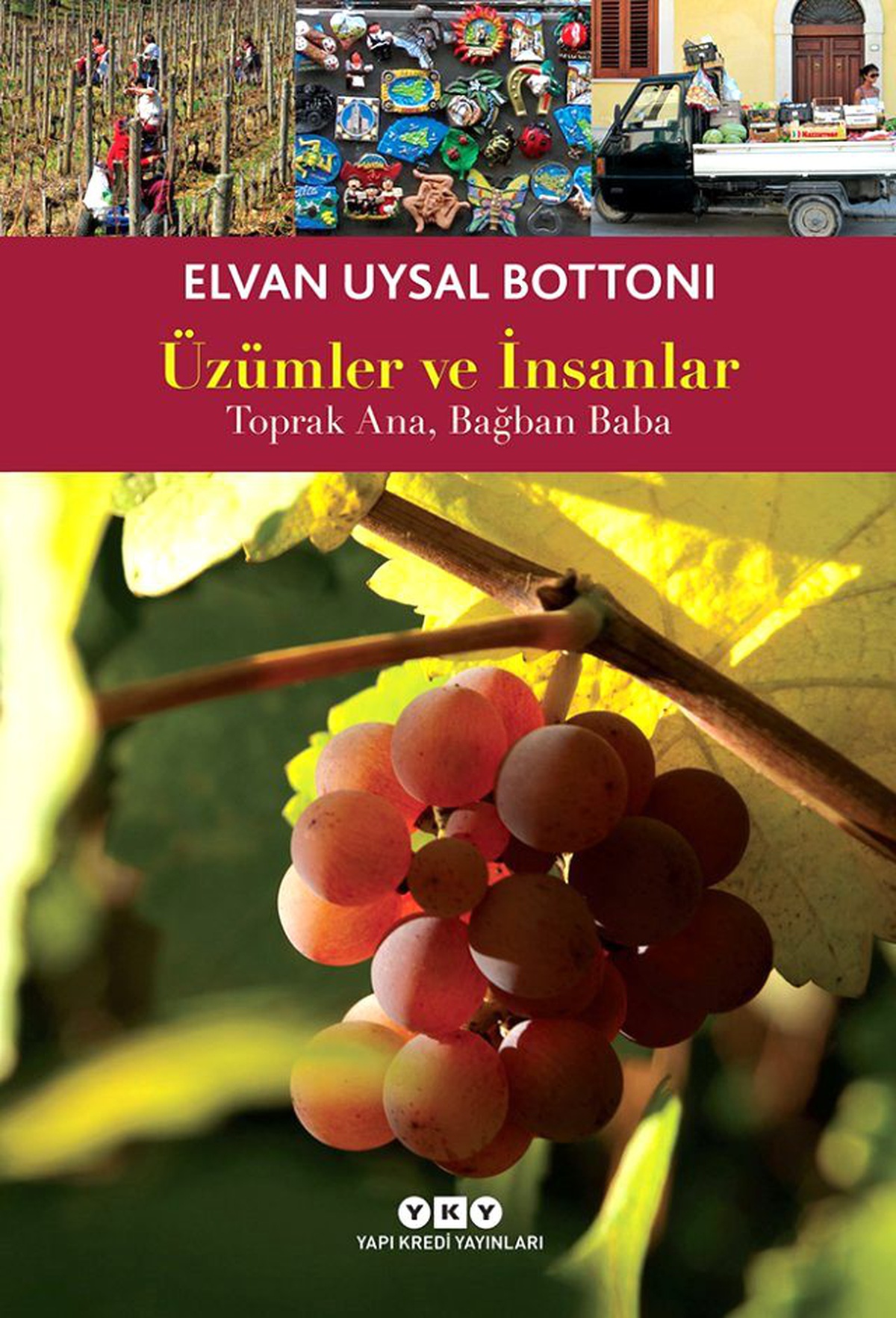 Üzümden, Şaraptan Anlamam Diyen Kalmayacak!