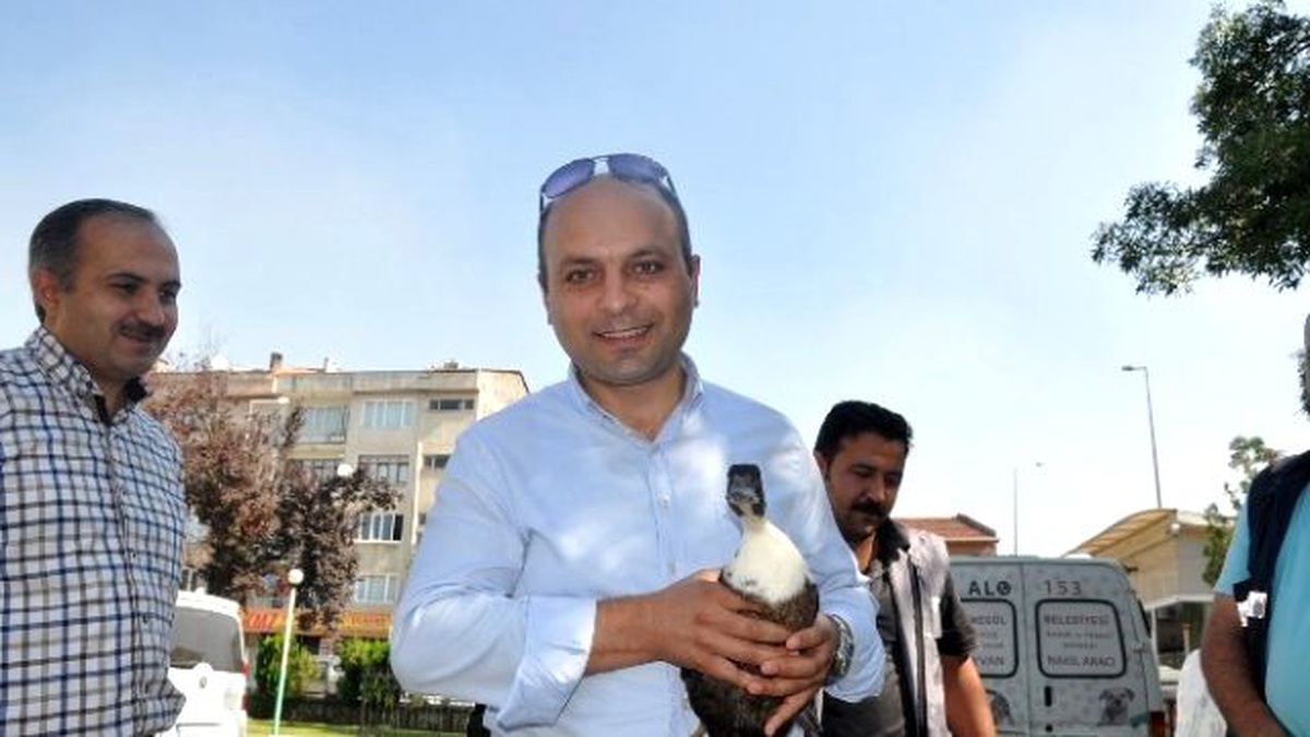 Yaralı Yaban Ördeğine Emniyet Amiri Sahip Çıktı