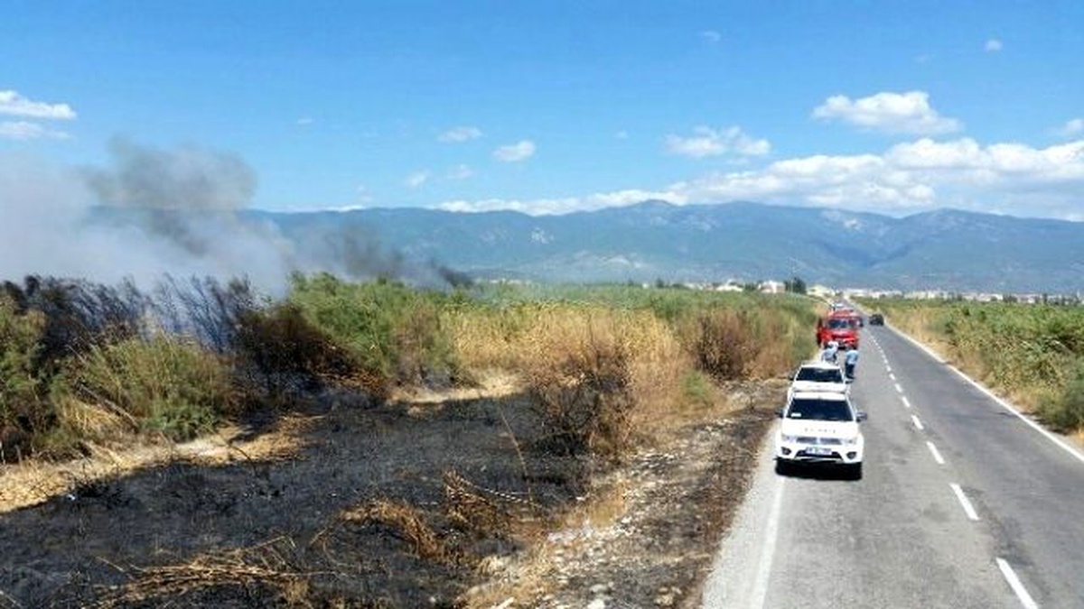 Yol Kenarında Başlayan Yangın Sazlığı Yaktı