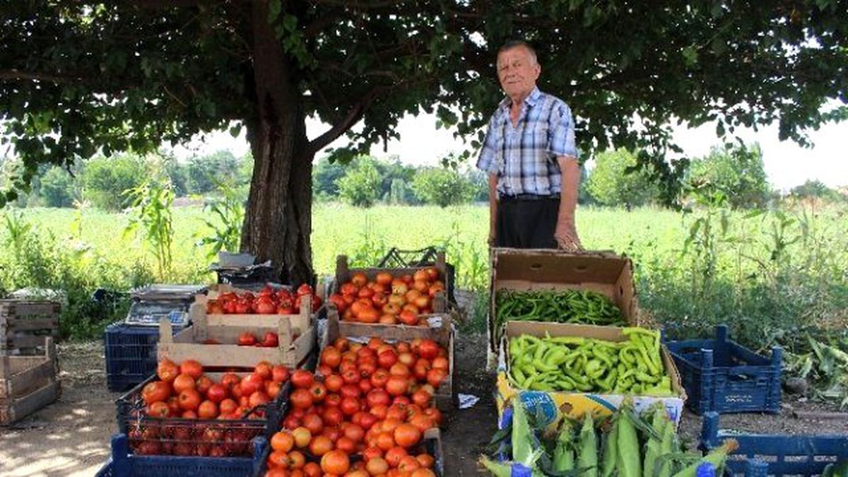 Eskişehir\'de Zararına da Olsa Hormonsuz Sebze Üretip Satıyor
