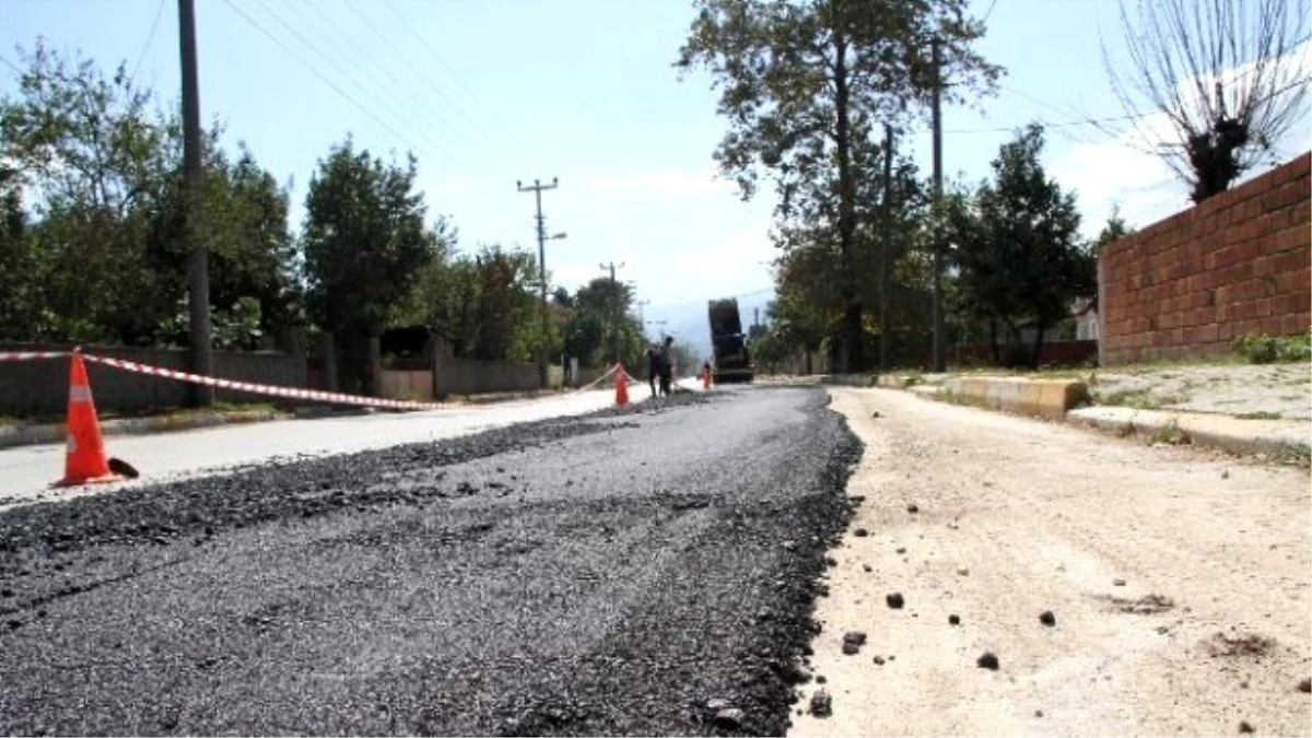 Akyazı Belediyesi Fen İşleri Ekipleri Sonbahar Hazırlıklarına Başladı