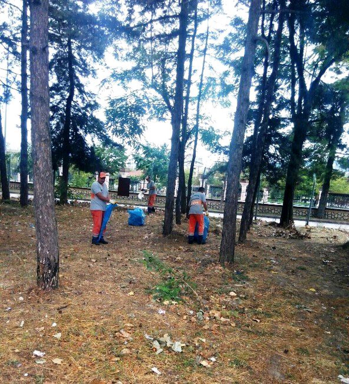 İzmit\'te Mesire Yerleri Temizlendi