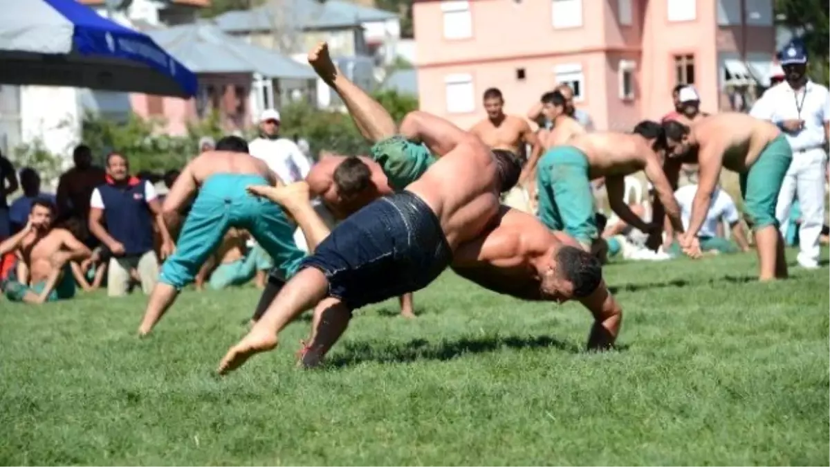 Karakucak Güreşleri Abanoz Yaylası\'nda Başladı