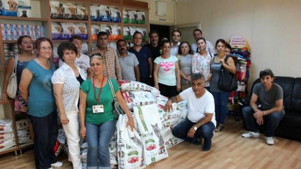 Kihayko, Sokak Hayvanları İçin Mama Dağıttı