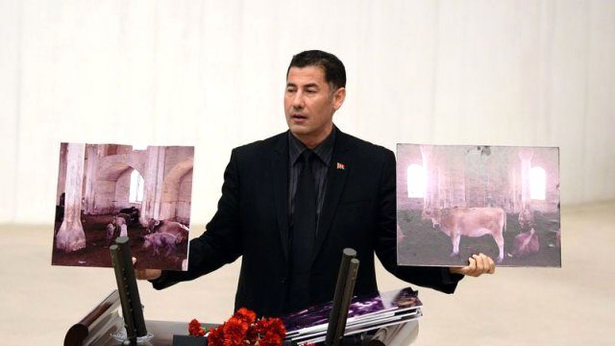 Sinan Oğan MHP'yi Mahkemeye Veriyor