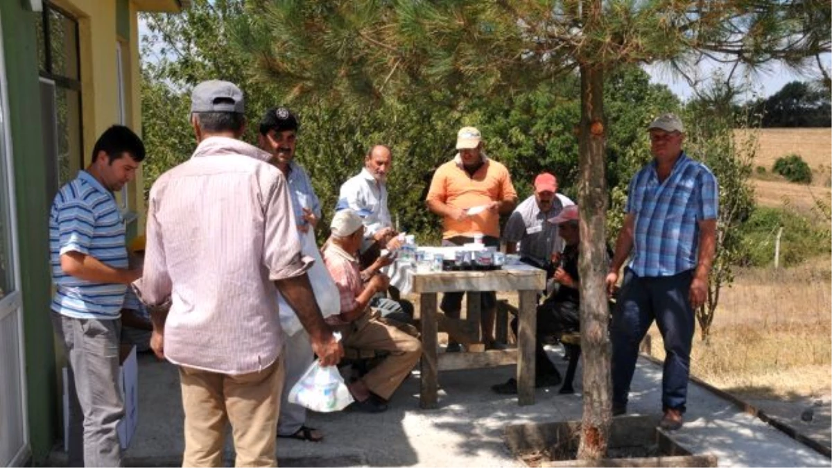 Süleymanpaşa Belediyesi Çiftçileri Yalnız Bırakmadı