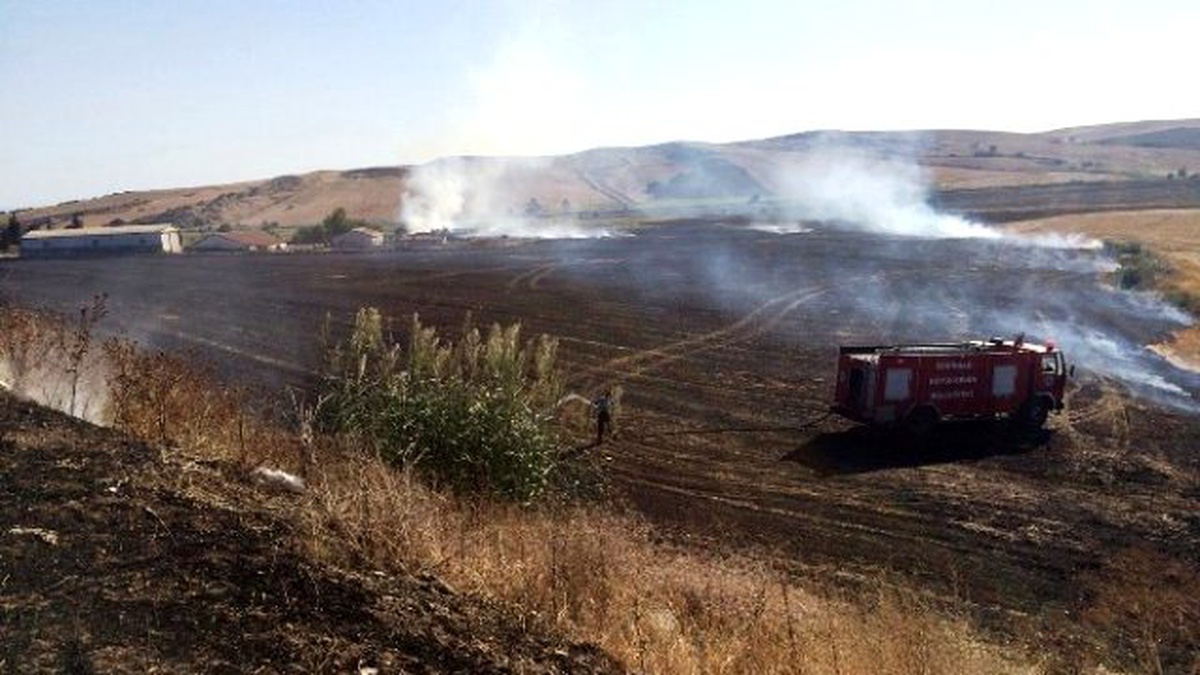 Anız Yangını Ayçiçeği Tarlalarını Tehdit Etti