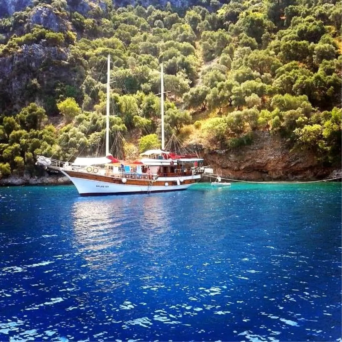 Başkan Gürün\'den Göcek Koylarının Yeniden İhale Edilmesine Tepki