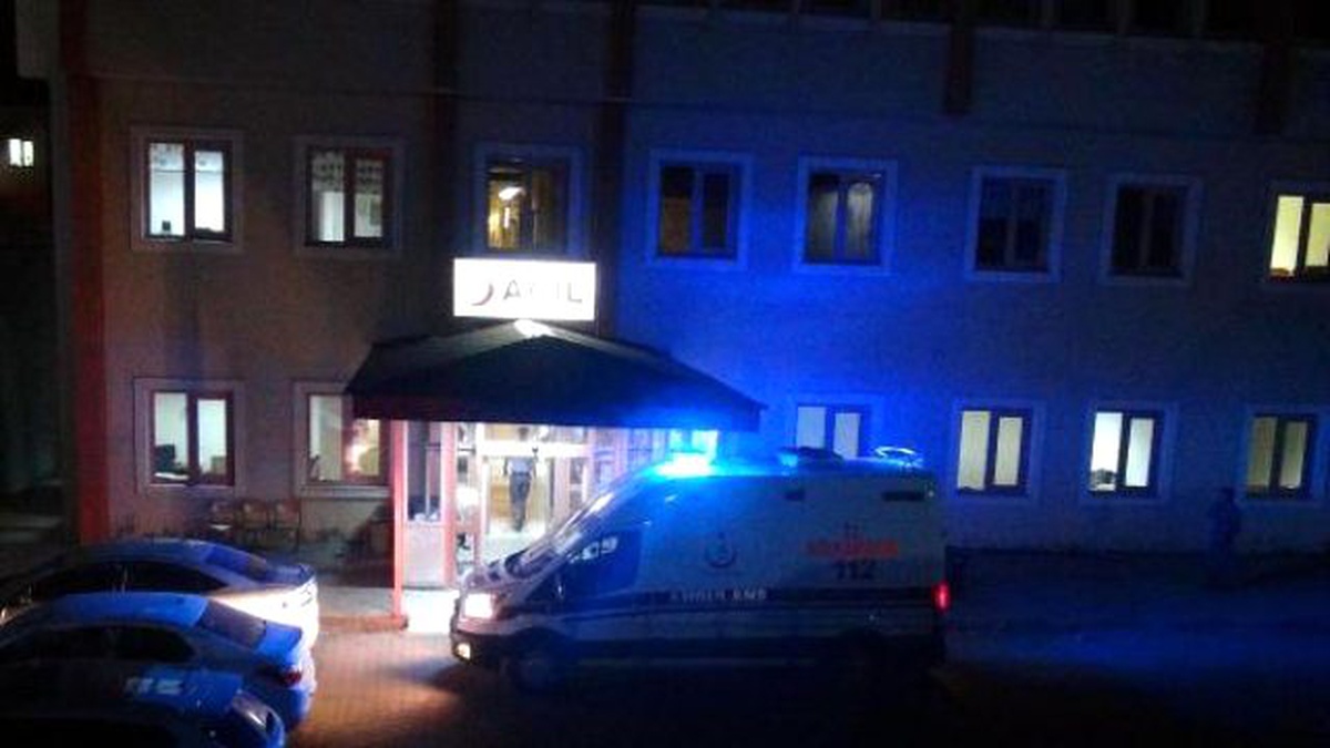 Bingöl\'de Yedikleri Ottan 11 Çocuk Zehirlendi