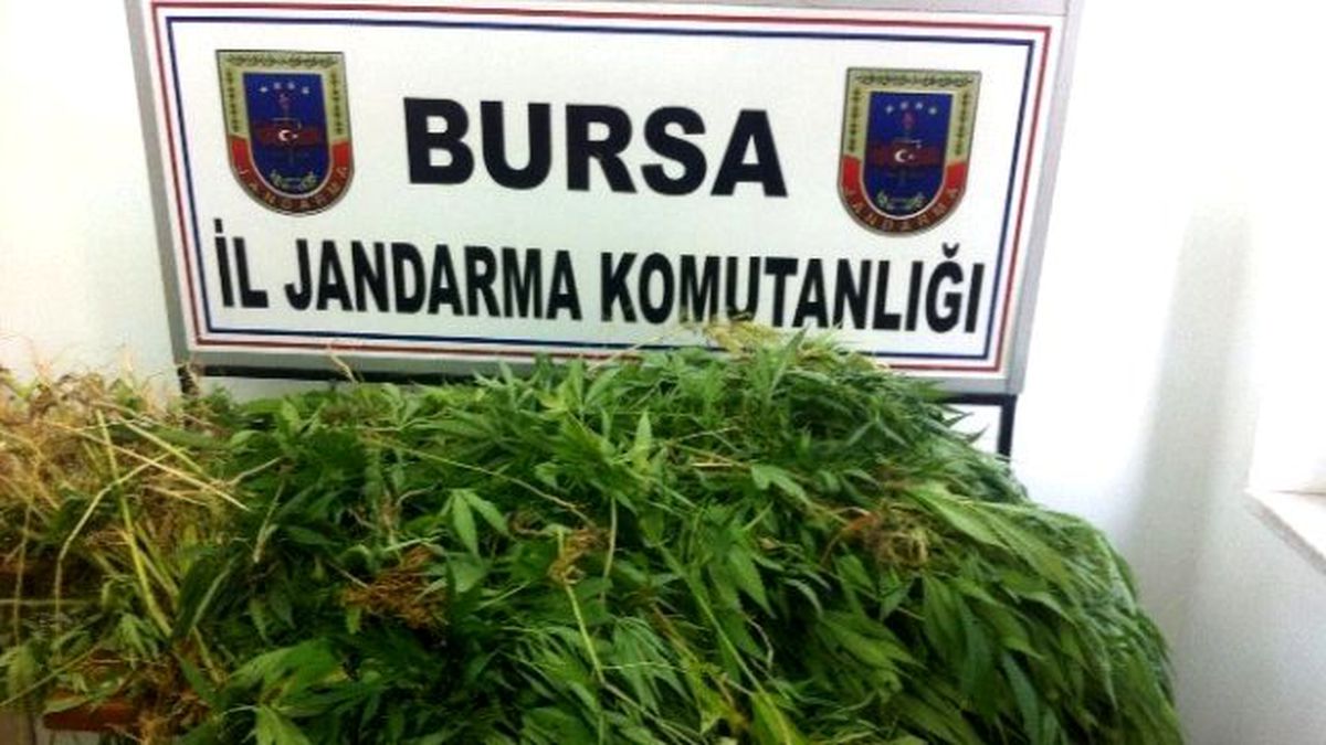 Bursa\'da Uyuşturucu Operasyonu