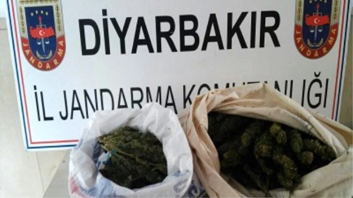 Diyarbakır\'da Uyuşturucu Operasyonu