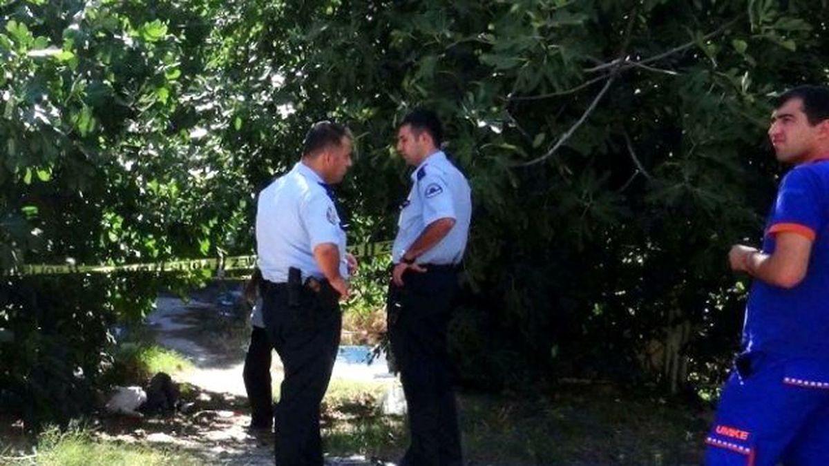 İncir Toplamak İsterken Canından Oldu
