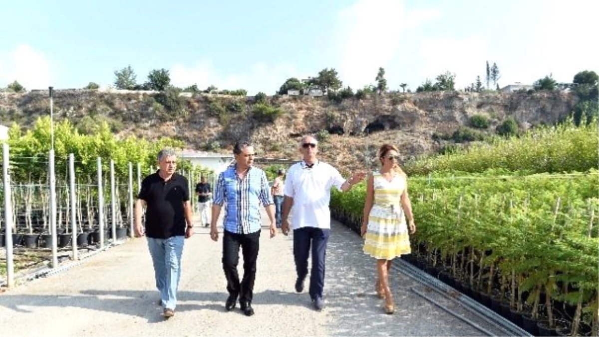 Muratpaşa Belediyesi Bitki Üretim Tesislerini 5 Kat Büyütüyor